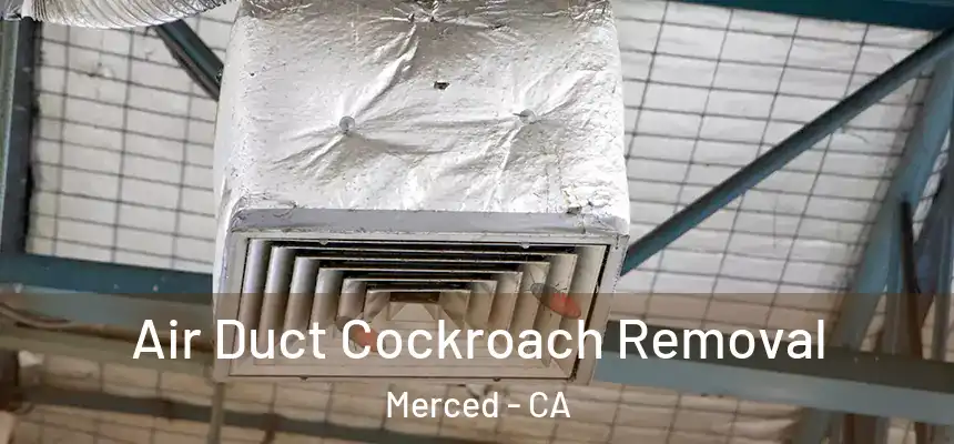 Air Duct Cockroach Removal Merced - CA