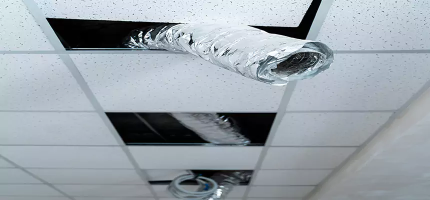 Affordable HVAC Sanitizing After Pest Removal in Merced