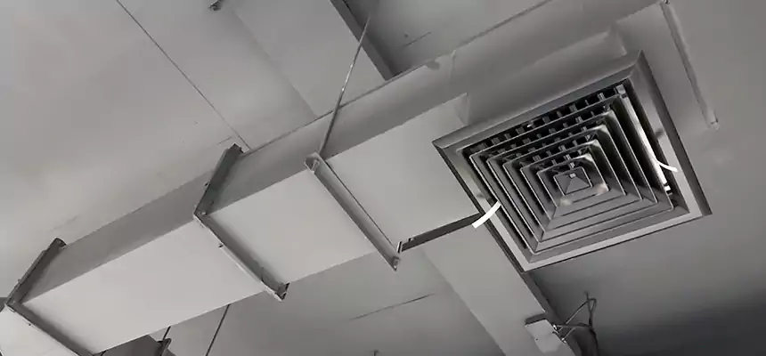 Our Rodent Droppings In Vents Services in Merced, CA