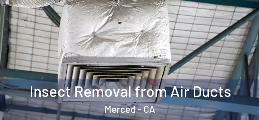 Insect Removal from Air Ducts Merced - CA
