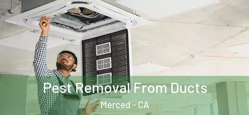  Pest Removal From Ducts Merced - CA