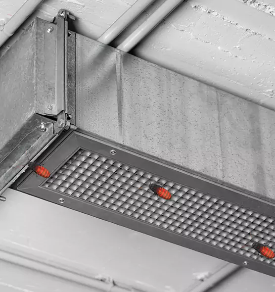 Affordable Insect Removal from Air Ducts in Merced, CA